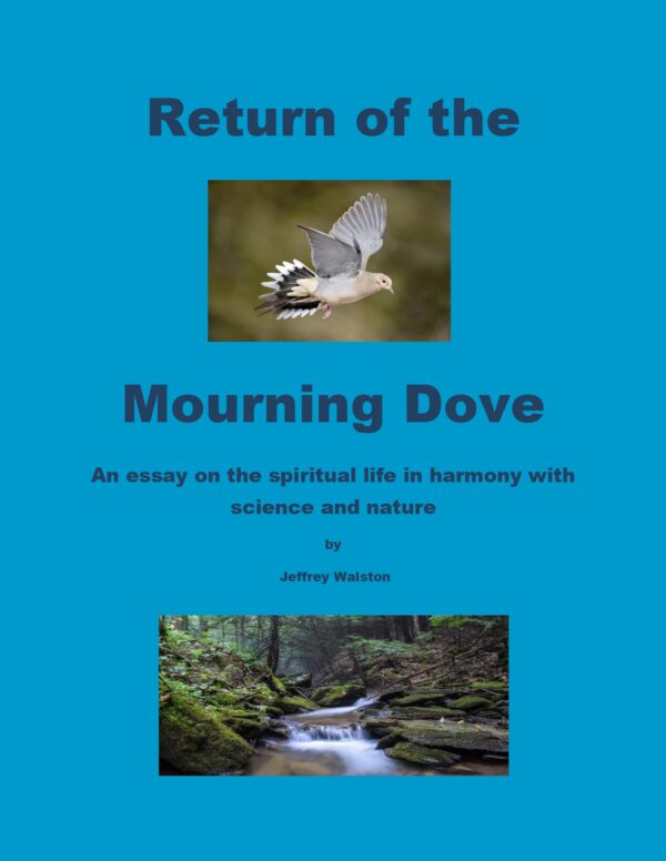 Return of the Mourning Dove (ebook)